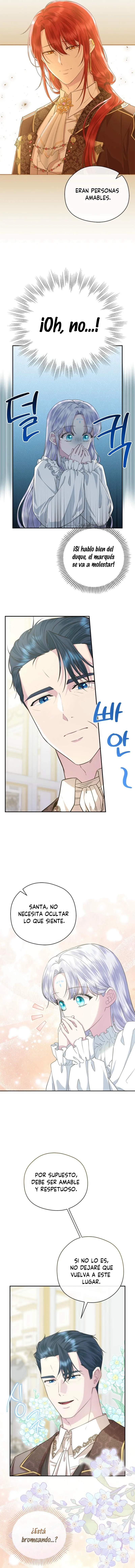 13 Las violetas que florecieron en el jardín