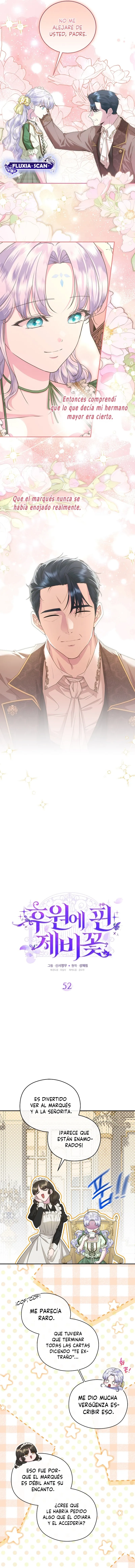 3 Las violetas que florecieron en el jardín