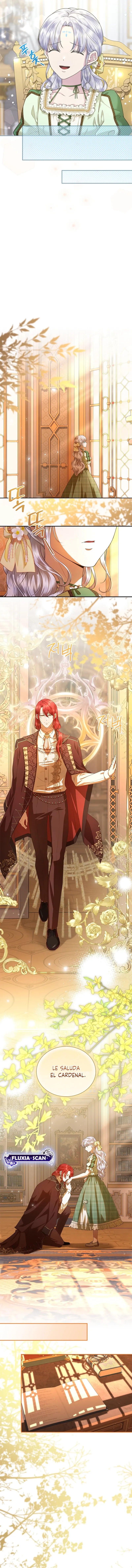 5 Las violetas que florecieron en el jardín