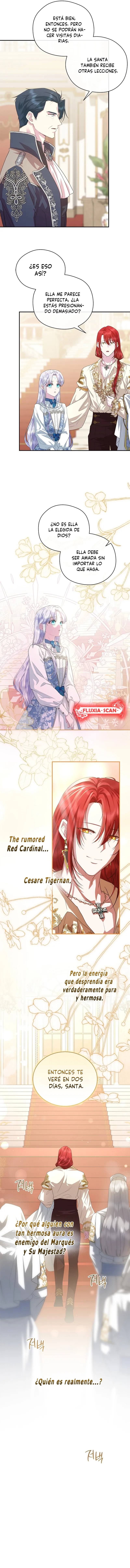 7 Las violetas que florecieron en el jardín