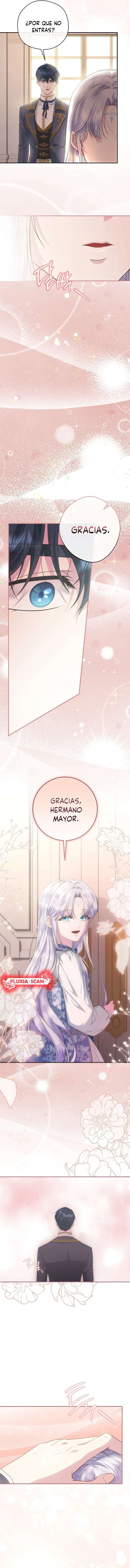 13 Las violetas que florecieron en el jardín