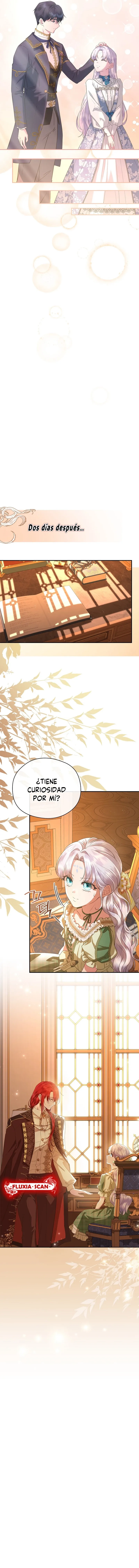 14 Las violetas que florecieron en el jardín