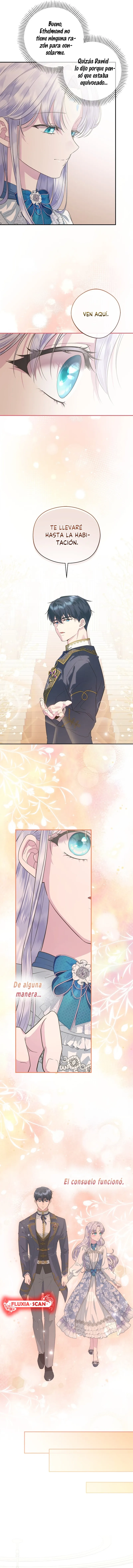 11 Las violetas que florecieron en el jardín