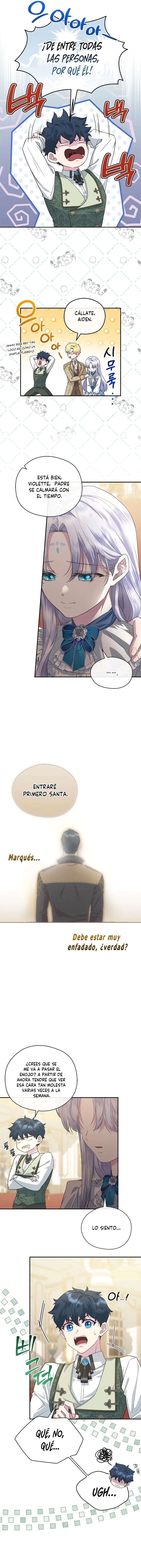 8 Las violetas que florecieron en el jardín