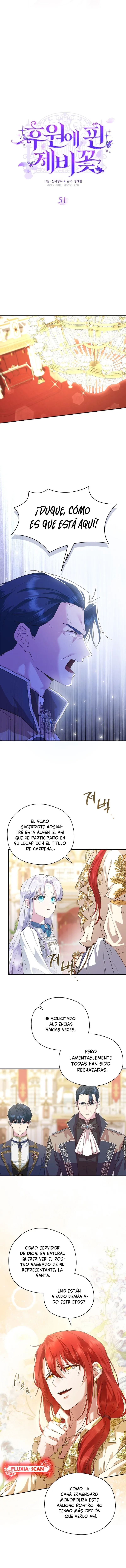 3 Las violetas que florecieron en el jardín