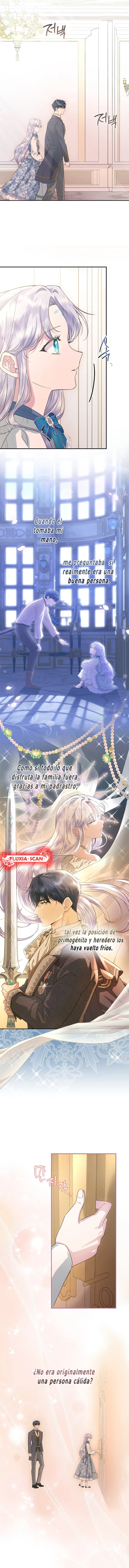 12 Las violetas que florecieron en el jardín