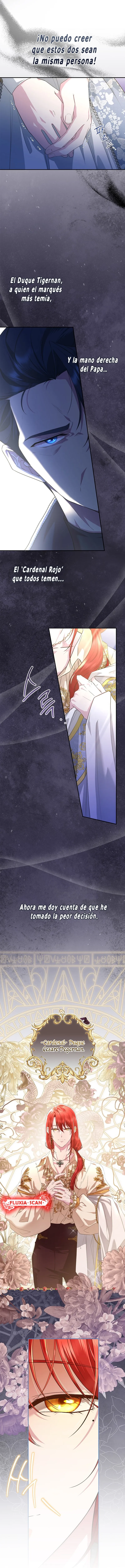 2 Las violetas que florecieron en el jardín