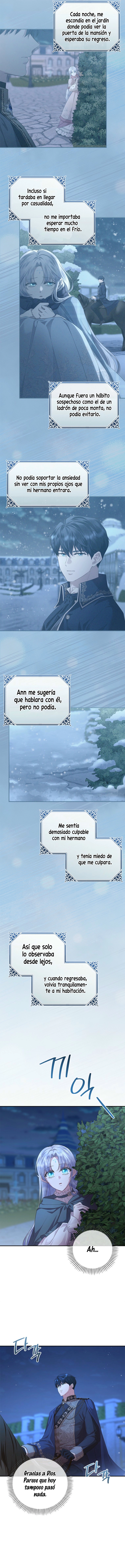 3 Las violetas que florecieron en el jardín