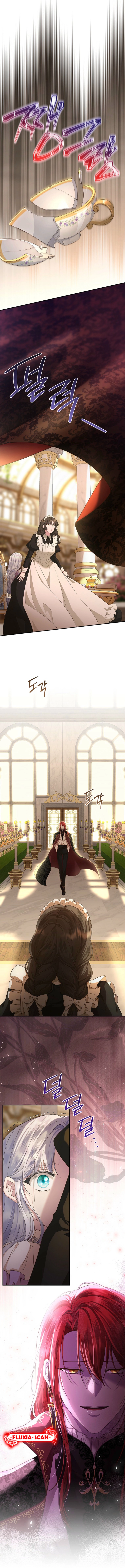 12 Las violetas que florecieron en el jardín