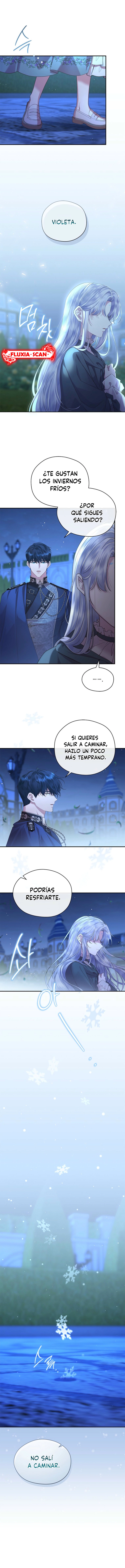 4 Las violetas que florecieron en el jardín