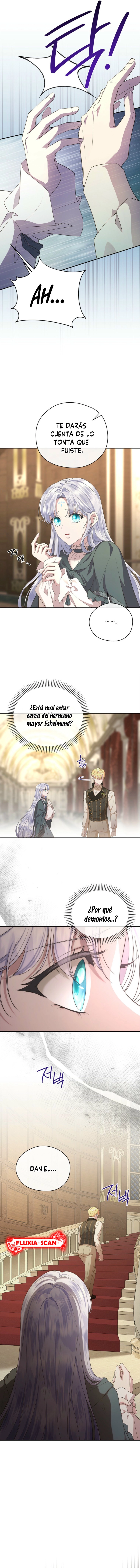 11 Las violetas que florecieron en el jardín