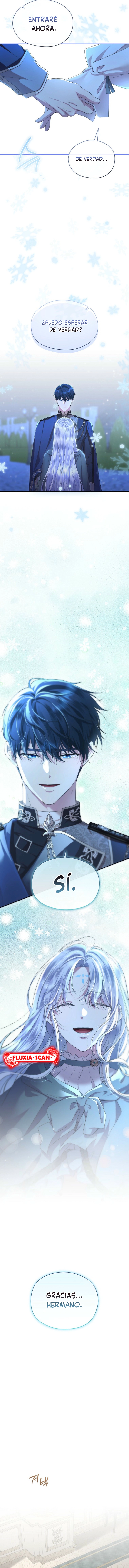 8 Las violetas que florecieron en el jardín