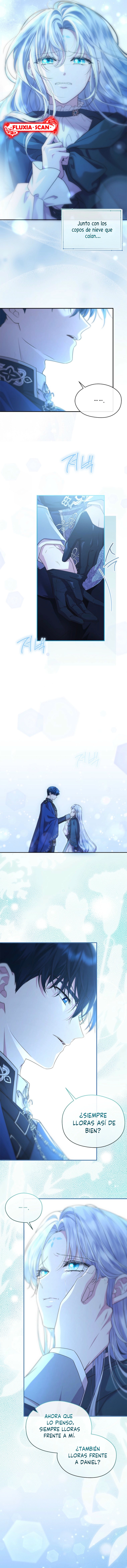 6 Las violetas que florecieron en el jardín