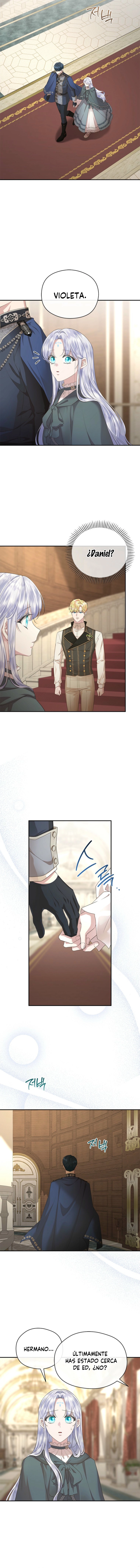 9 Las violetas que florecieron en el jardín