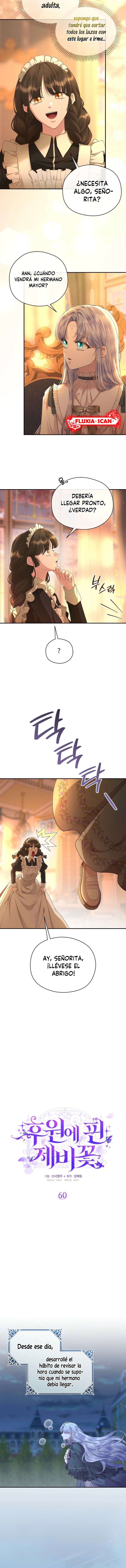 2 Las violetas que florecieron en el jardín