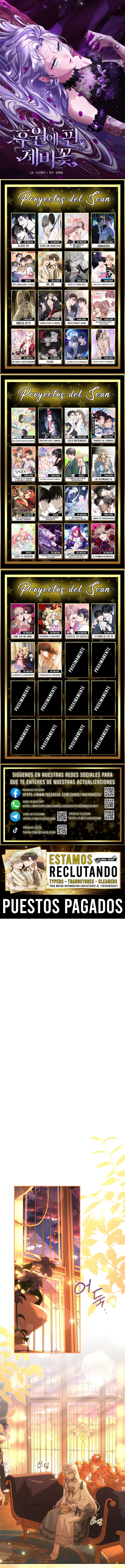 0 Las violetas que florecieron en el jardín