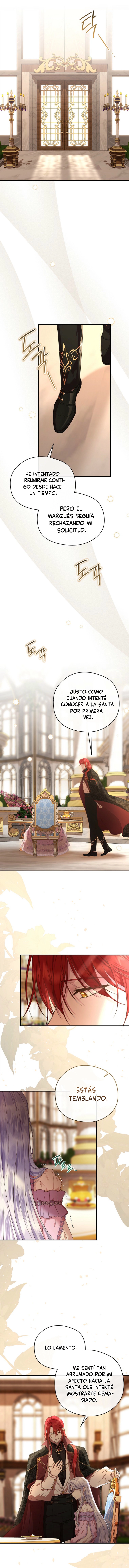 10 Las violetas que florecieron en el jardín