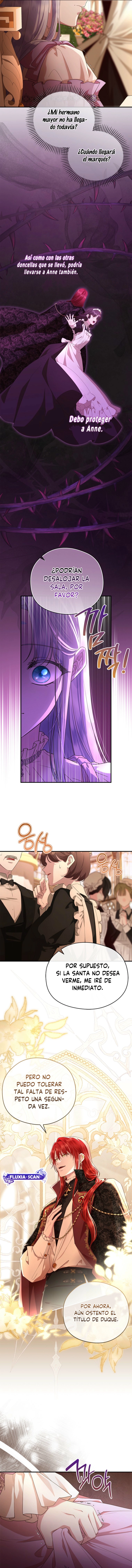 8 Las violetas que florecieron en el jardín