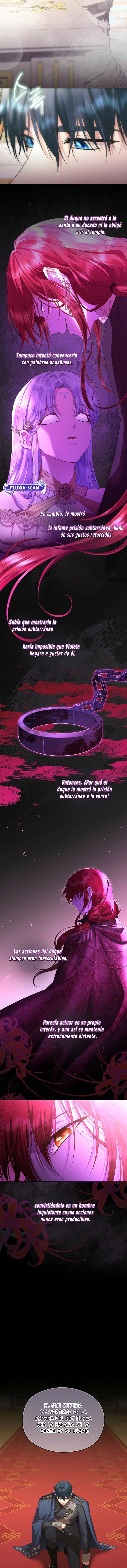 1 Las violetas que florecieron en el jardín