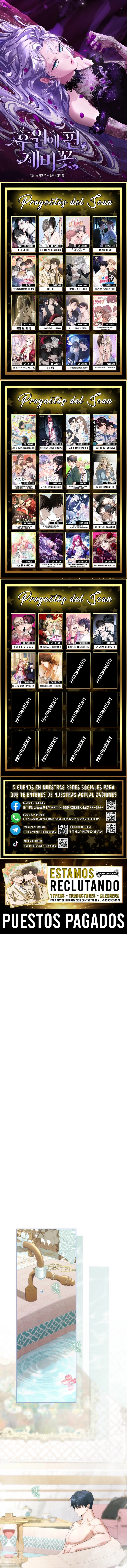 0 Las violetas que florecieron en el jardín