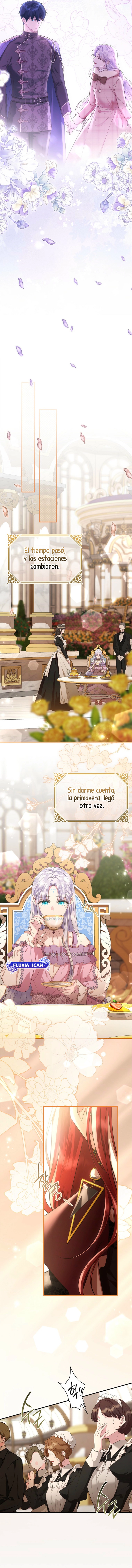 5 Las violetas que florecieron en el jardín