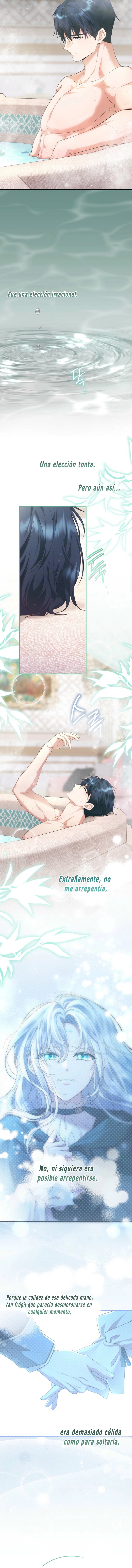 3 Las violetas que florecieron en el jardín