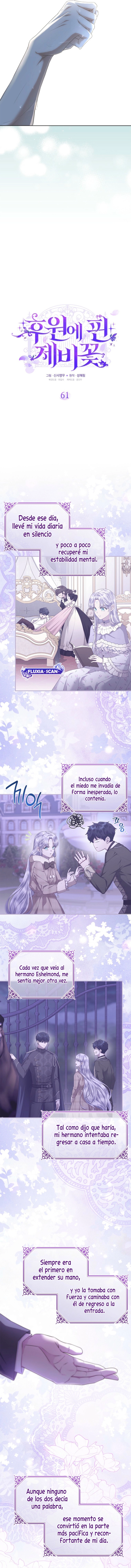 4 Las violetas que florecieron en el jardín