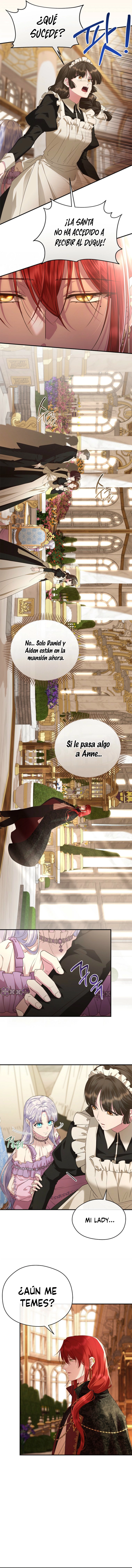 7 Las violetas que florecieron en el jardín