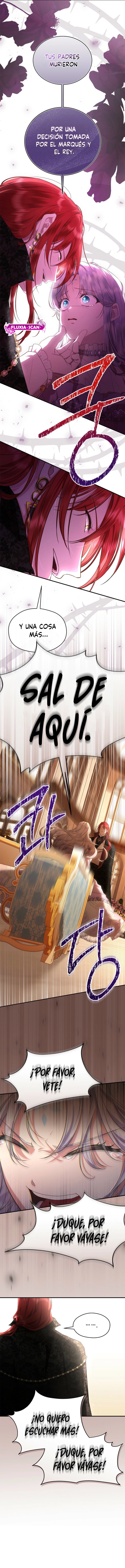 7 Las violetas que florecieron en el jardín