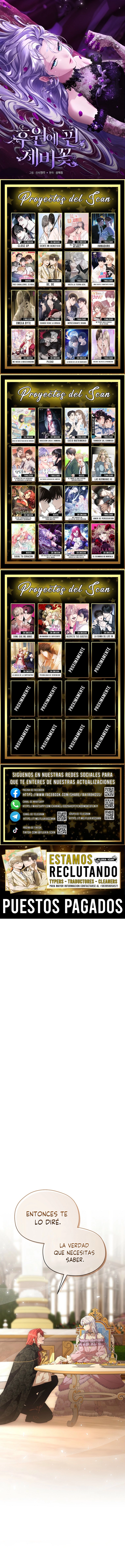 0 Las violetas que florecieron en el jardín