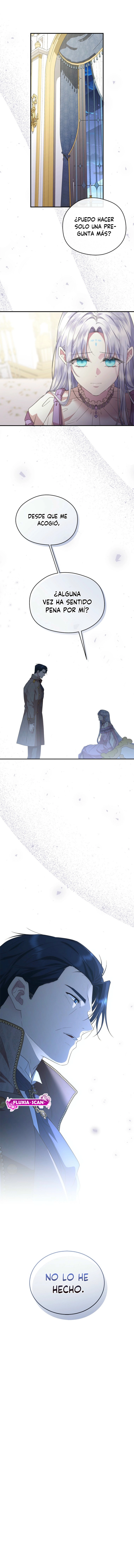 14 Las violetas que florecieron en el jardín