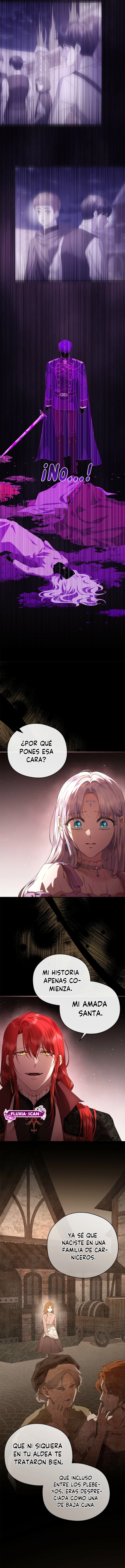 4 Las violetas que florecieron en el jardín