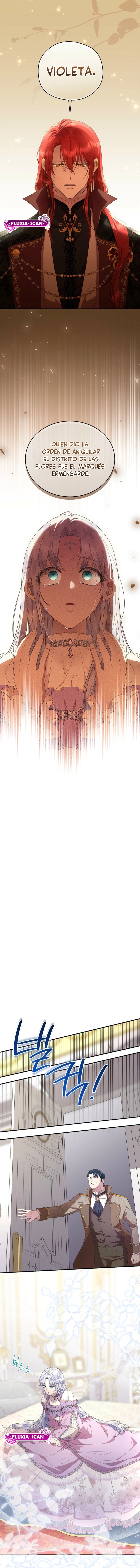 9 Las violetas que florecieron en el jardín