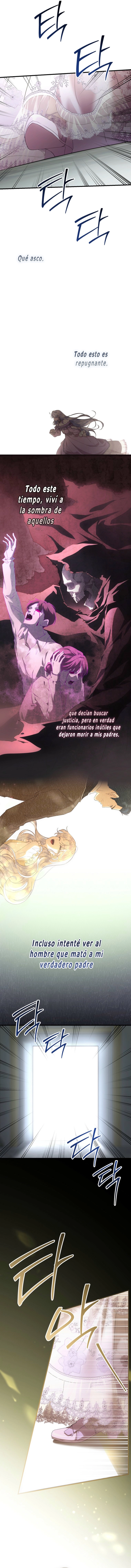 3 Las violetas que florecieron en el jardín