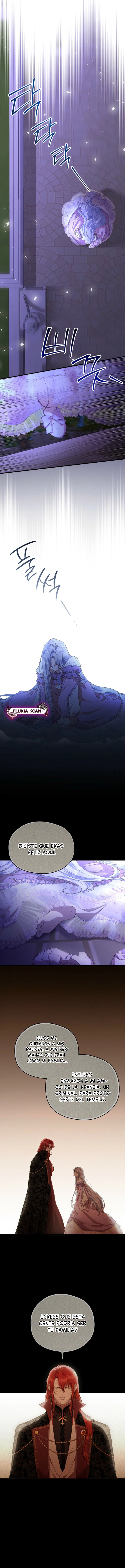 5 Las violetas que florecieron en el jardín