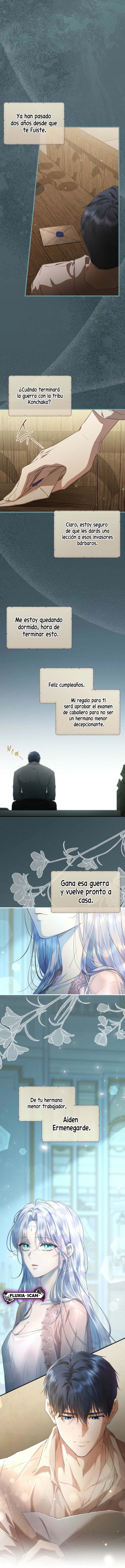 15 Las violetas que florecieron en el jardín