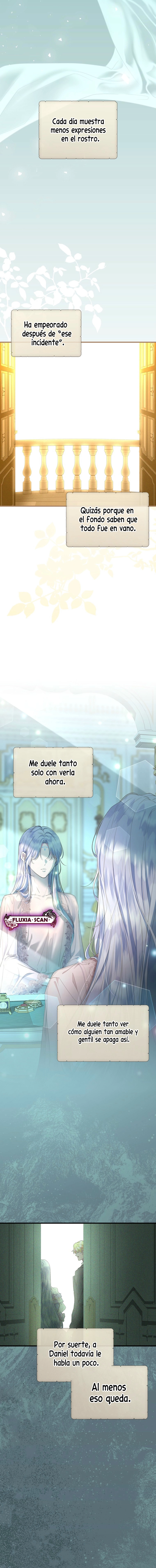 14 Las violetas que florecieron en el jardín