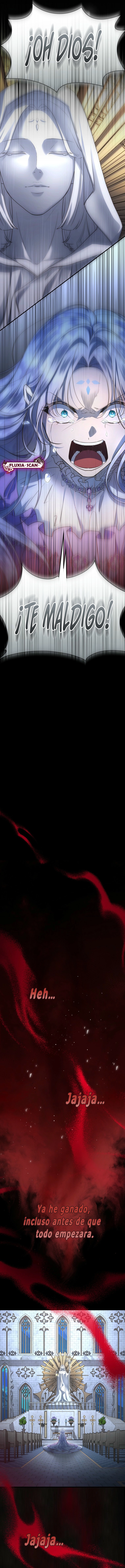 9 Las violetas que florecieron en el jardín