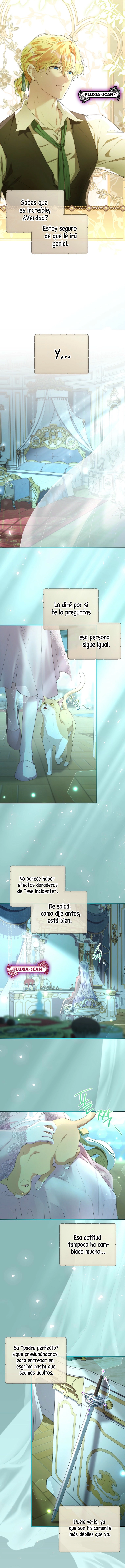 13 Las violetas que florecieron en el jardín