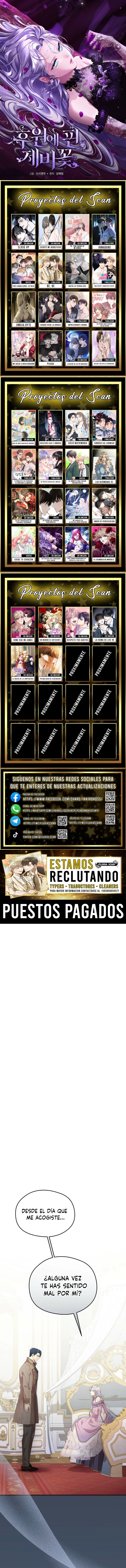 0 Las violetas que florecieron en el jardín