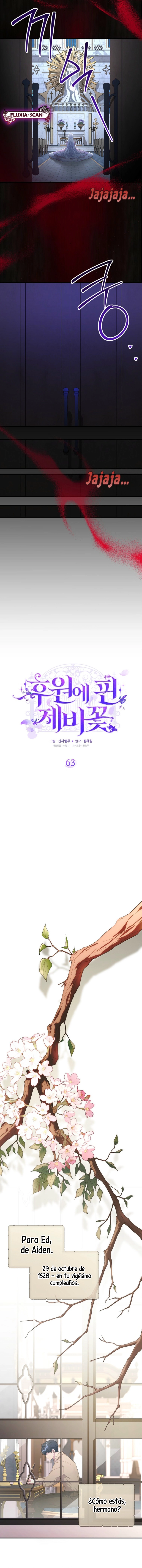 10 Las violetas que florecieron en el jardín