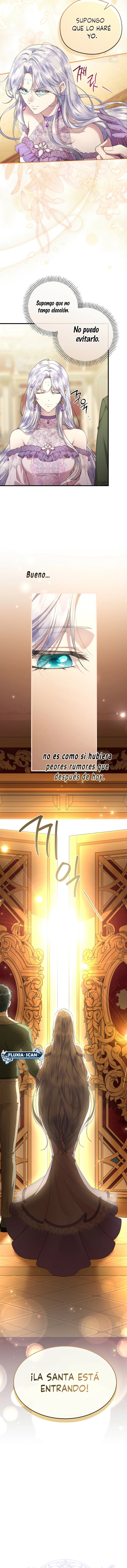 5 Las violetas que florecieron en el jardín