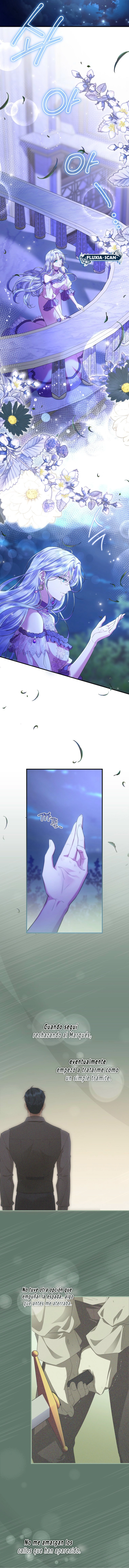 11 Las violetas que florecieron en el jardín