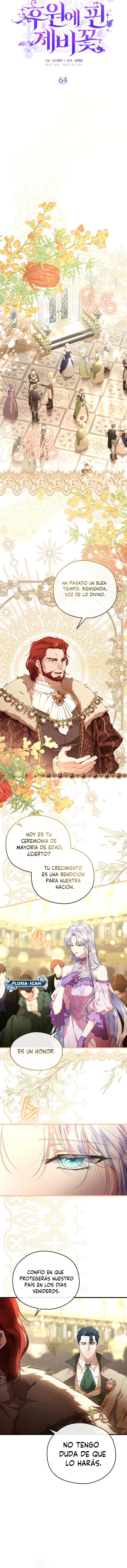 6 Las violetas que florecieron en el jardín