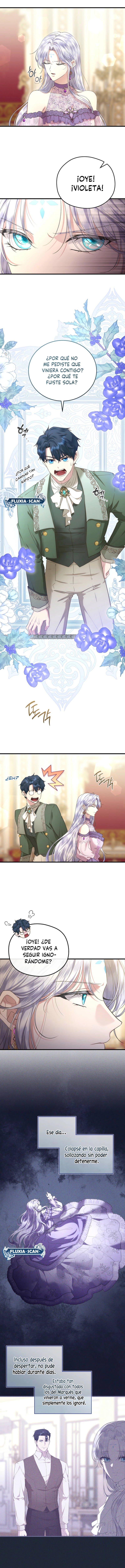 3 Las violetas que florecieron en el jardín