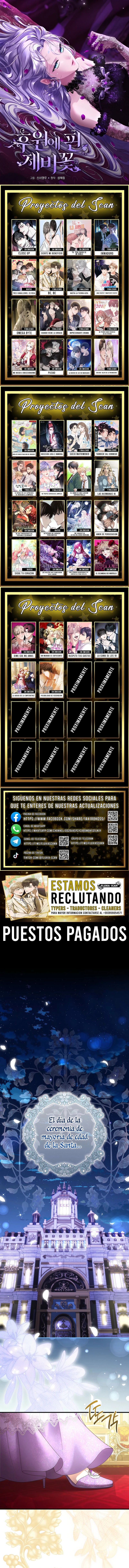 0 Las violetas que florecieron en el jardín