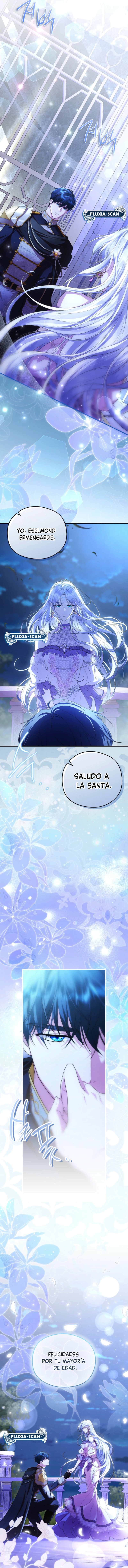 13 Las violetas que florecieron en el jardín