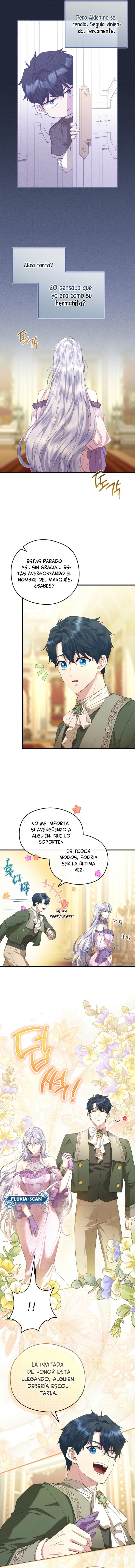 4 Las violetas que florecieron en el jardín