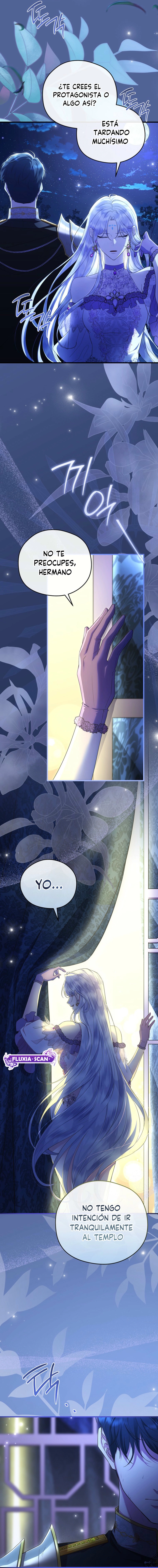 8 Las violetas que florecieron en el jardín