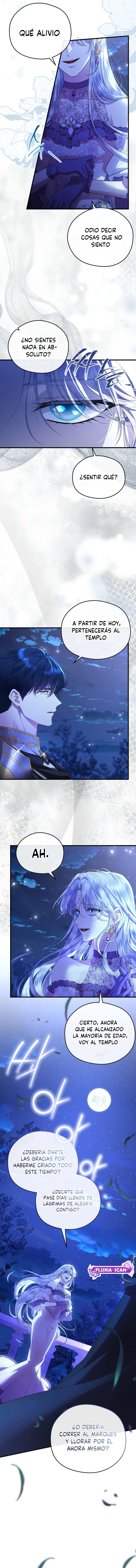 4 Las violetas que florecieron en el jardín